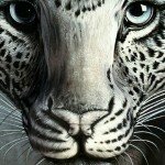 Великолепная иллюзия леопарда