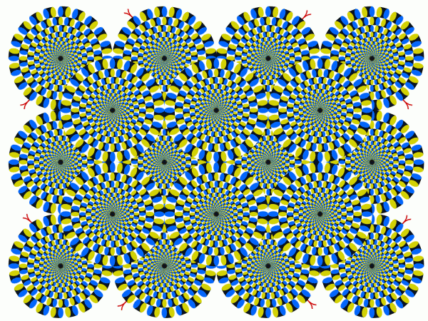 Оптические иллюзии Акиоши Китаока “Вращающиеся змеи”